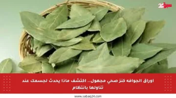 أوراق الجوافة كنز صحي مجهول.. اكتشف ماذا يحدث لجسمك عند تناولها بانتظام